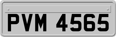 PVM4565