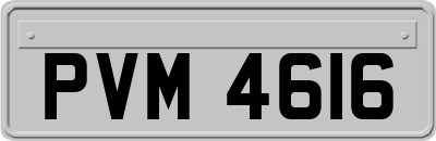 PVM4616