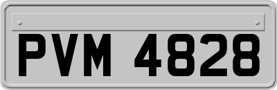 PVM4828