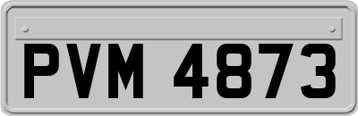 PVM4873
