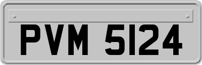 PVM5124