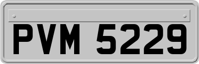PVM5229