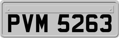 PVM5263