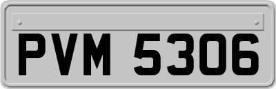 PVM5306