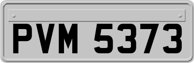 PVM5373