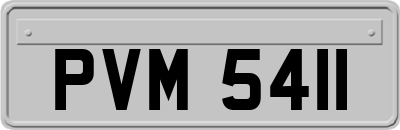 PVM5411