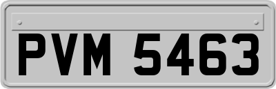 PVM5463