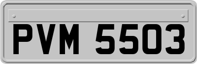 PVM5503