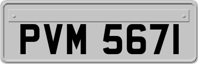 PVM5671