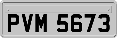 PVM5673