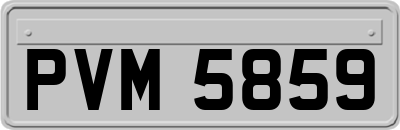 PVM5859