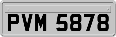 PVM5878