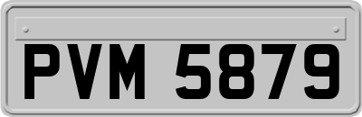 PVM5879