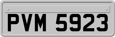 PVM5923