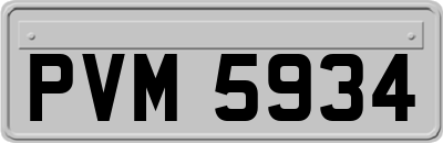 PVM5934