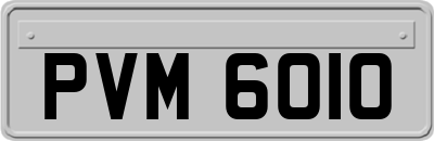 PVM6010