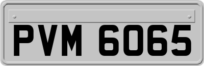 PVM6065