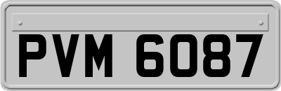 PVM6087