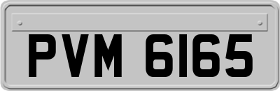 PVM6165