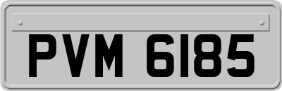 PVM6185