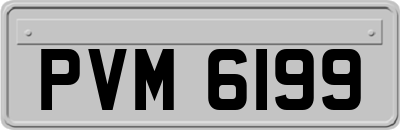 PVM6199