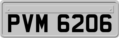 PVM6206