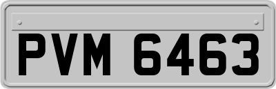 PVM6463