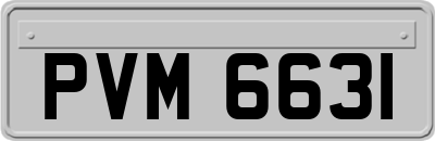 PVM6631