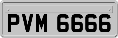 PVM6666