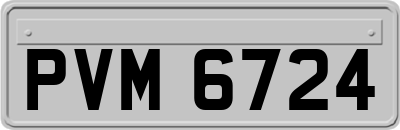 PVM6724