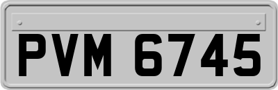 PVM6745
