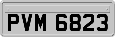 PVM6823