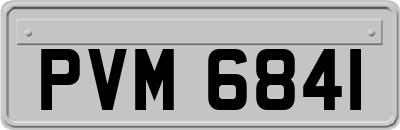 PVM6841