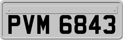 PVM6843