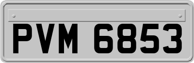 PVM6853