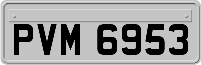PVM6953