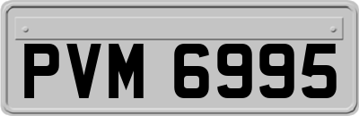 PVM6995