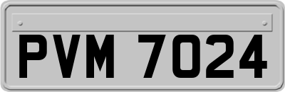 PVM7024