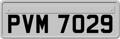 PVM7029