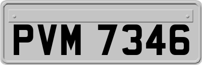 PVM7346