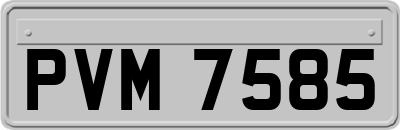 PVM7585
