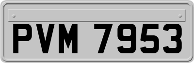 PVM7953
