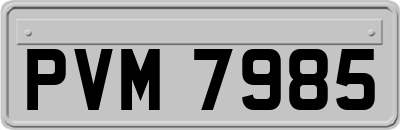 PVM7985