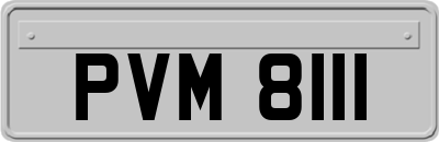 PVM8111