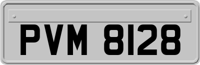 PVM8128