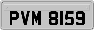 PVM8159
