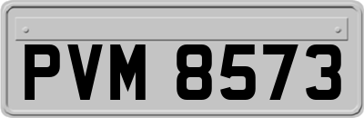 PVM8573