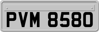 PVM8580
