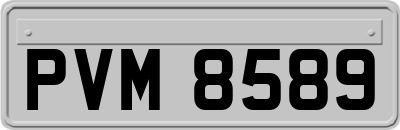 PVM8589