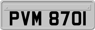 PVM8701